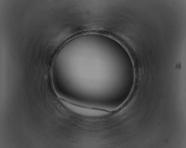 X0000091521257200708311241