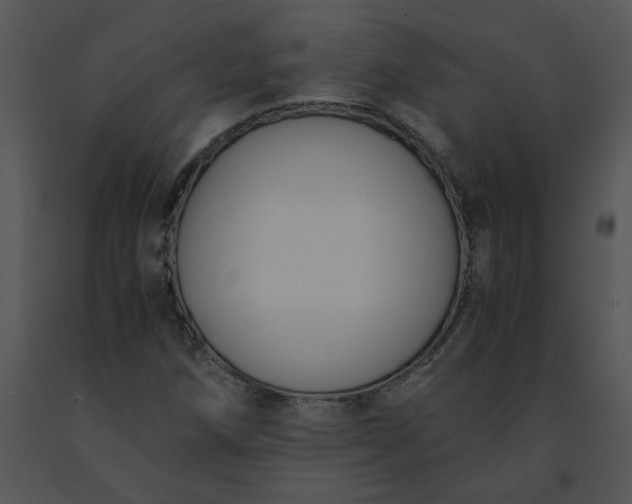 X0000091521258200708311241