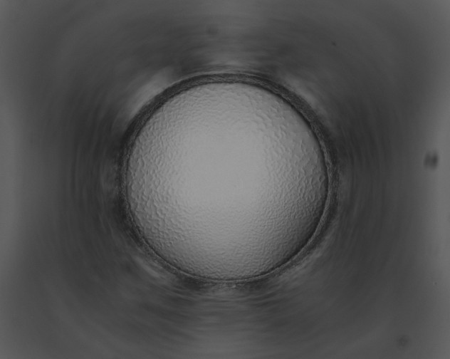 X0000091521259200708311241