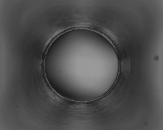 X0000091521260200708311241