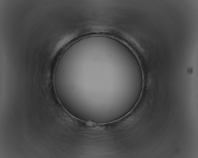 X0000091521261200708311241