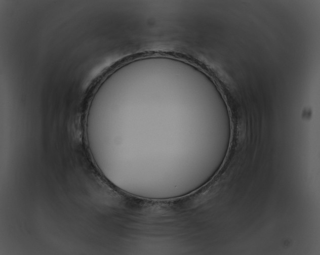 X0000091521262200708311241