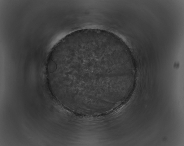 X0000091521263200708311241