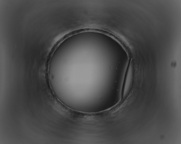 X0000091521264200708311241