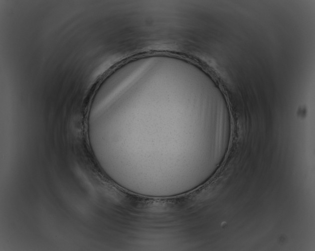 X0000091521266200708311241