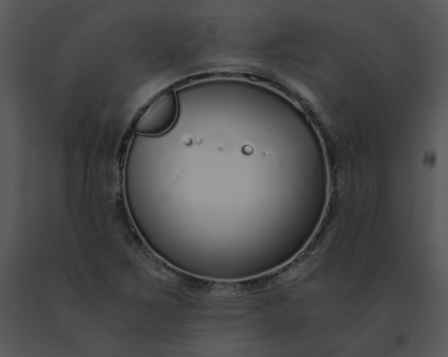 X0000091521267200708311241