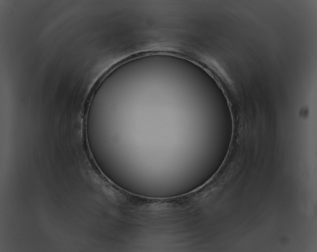 X0000091521268200708311241