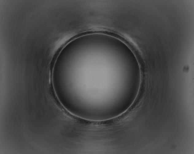 X0000091521269200708311241