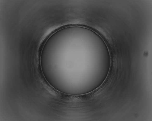 X0000091521270200708311241