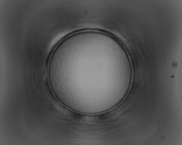 X0000091521271200708311241