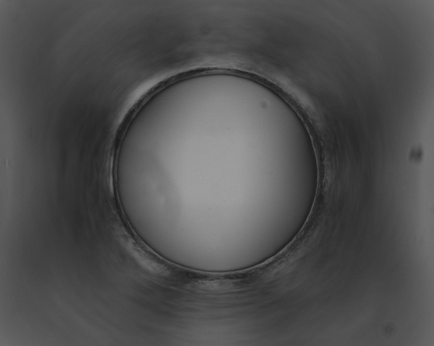 X0000091521272200708311241