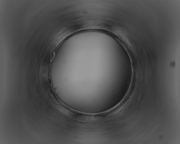 X0000091521273200708311241