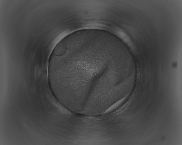 X0000091521275200708311241