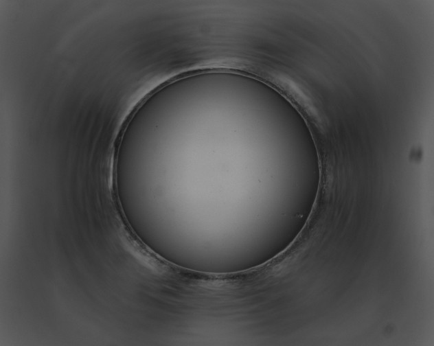 X0000091521276200708311241