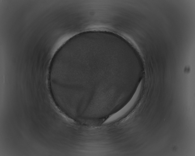 X0000091521277200708311240