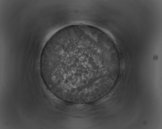 X0000091521279200708311240