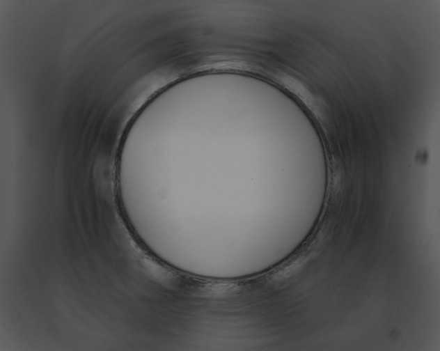 X0000091521282200708311240