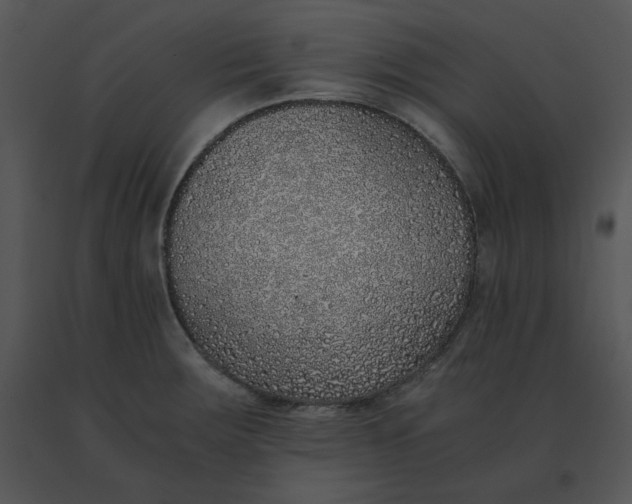 X0000091521283200708311240