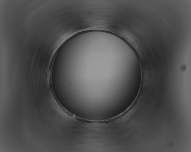 X0000091521284200708311240
