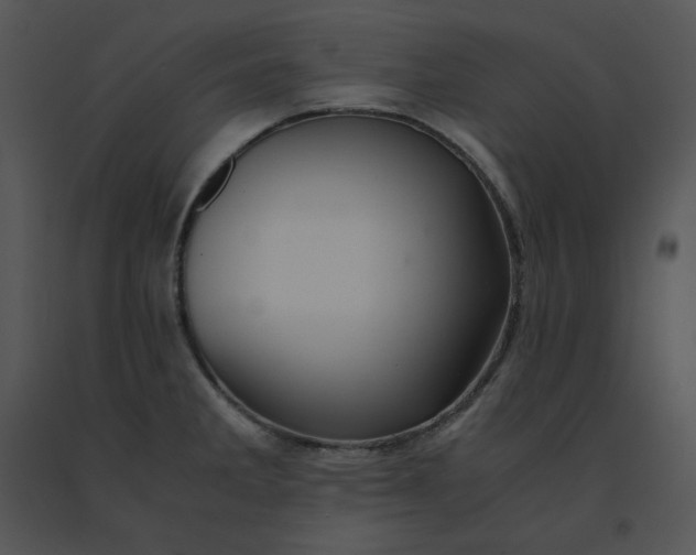 X0000091521285200708311240