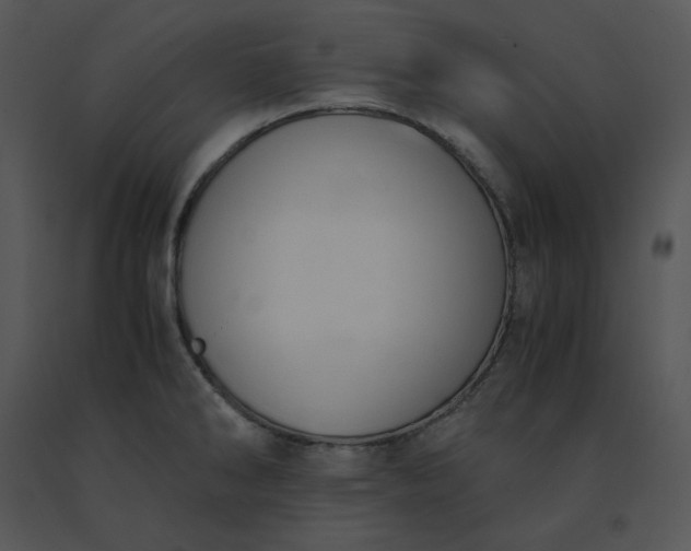 X0000091521286200708311240