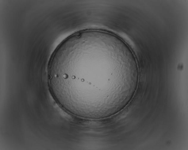 X0000091521287200708311240