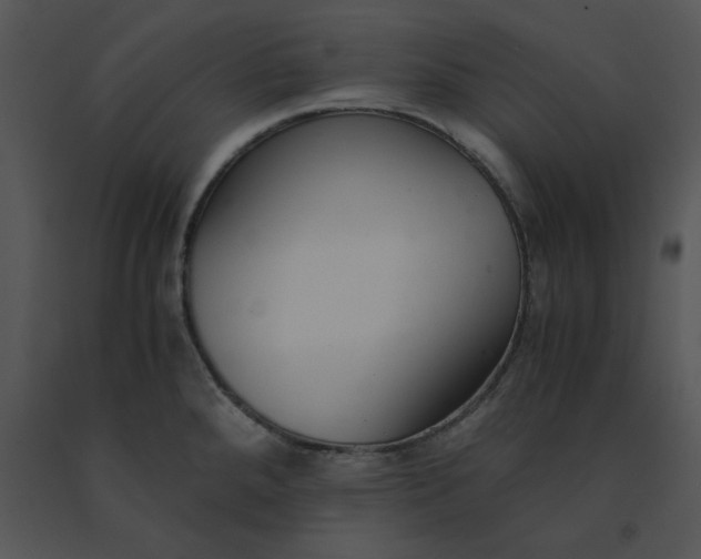X0000091521288200708311240