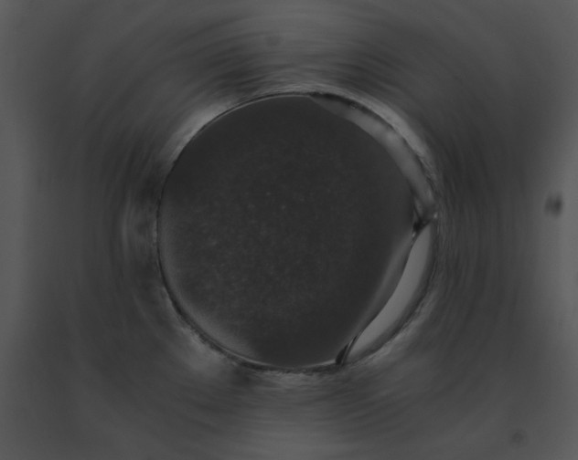X0000091521289200708311240