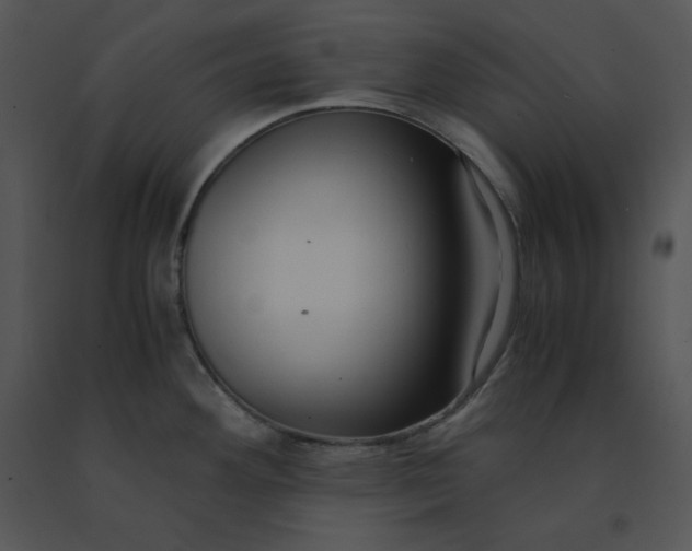 X0000091521292200708311240