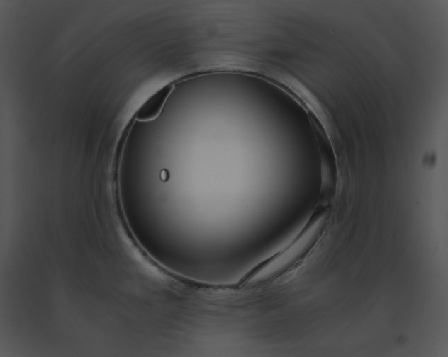 X0000091521293200708311240