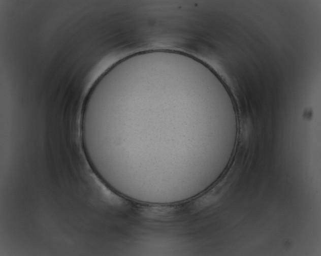 X0000091521294200708311240