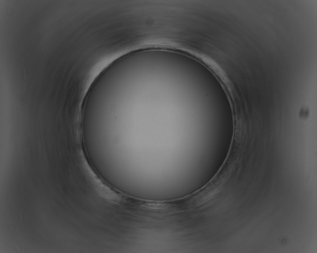 X0000091521295200708311240