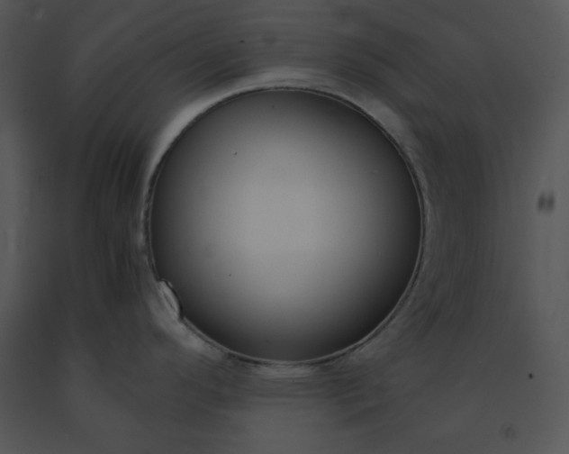 X0000091521296200708311240