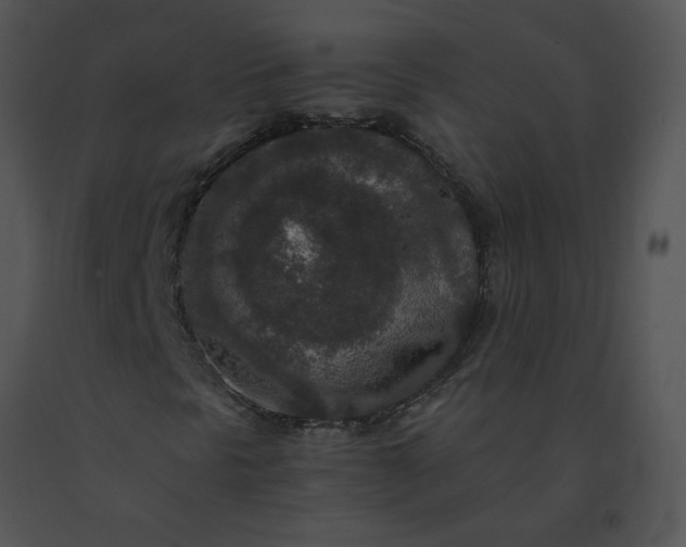 X0000091521297200708311239