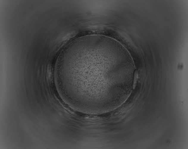 X0000091521298200708311239