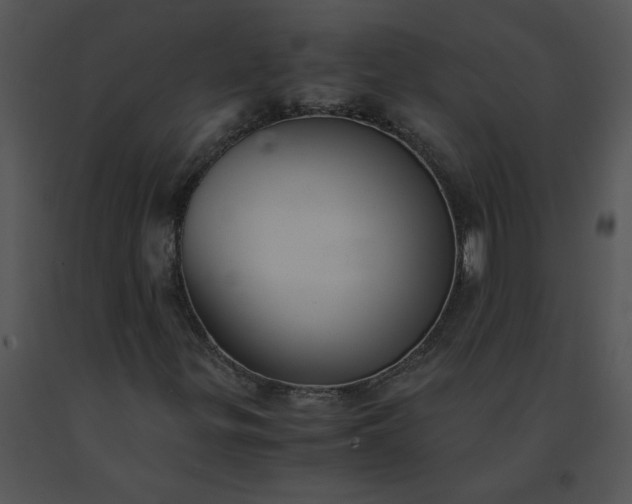 X0000091521299200708311239