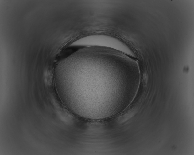 X0000091521300200708311239