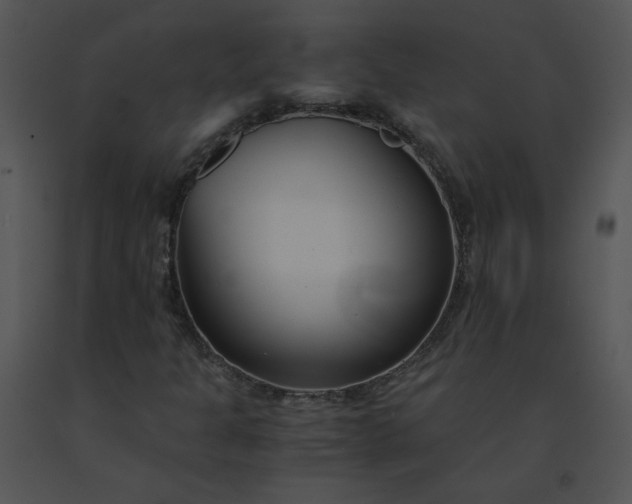 X0000091521301200708311239