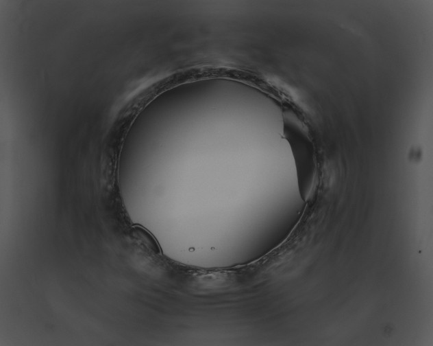 X0000091521303200708311240