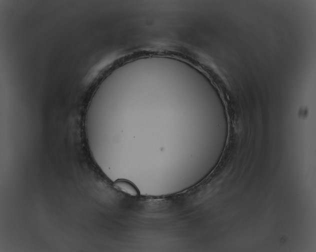 X0000091521304200708311240