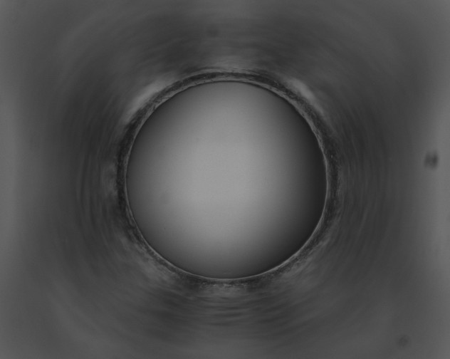 X0000091521307200708311240