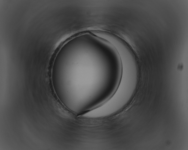 X0000091521308200708311240
