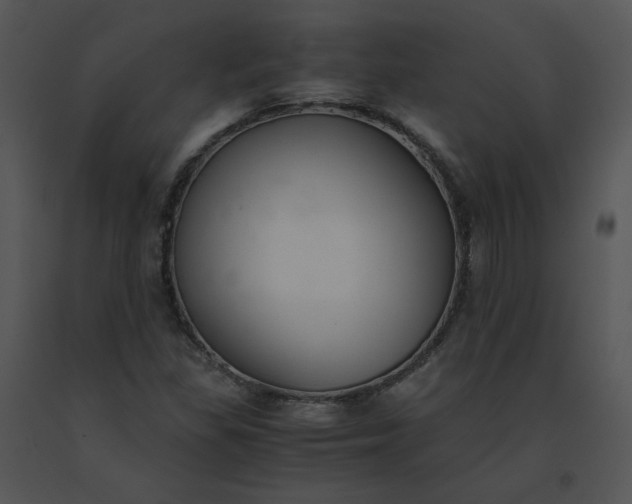 X0000091521309200708311240