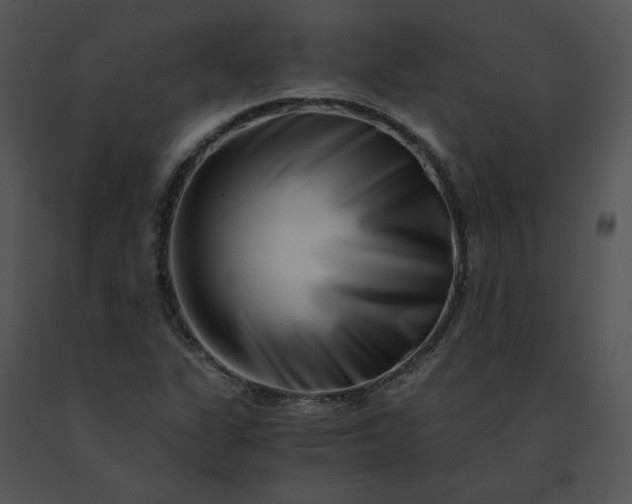 X0000091521311200708311240