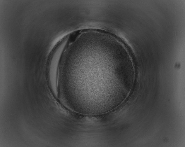 X0000091521312200708311240