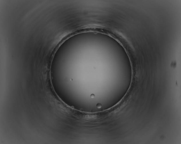 X0000091521313200708311240