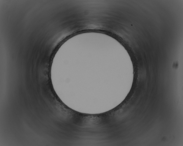 X0000091521314200708311240