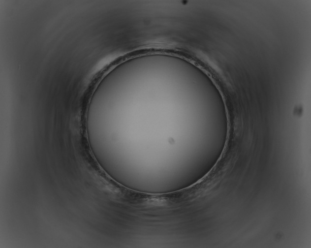 X0000091521315200708311240