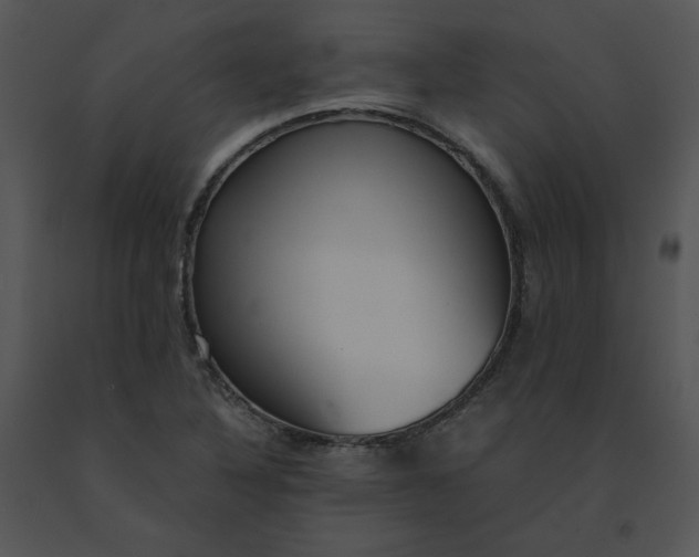 X0000091521316200708311240