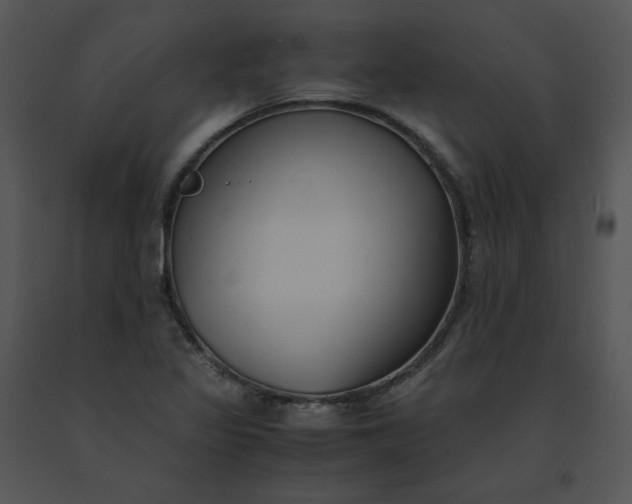 X0000091521317200708311240